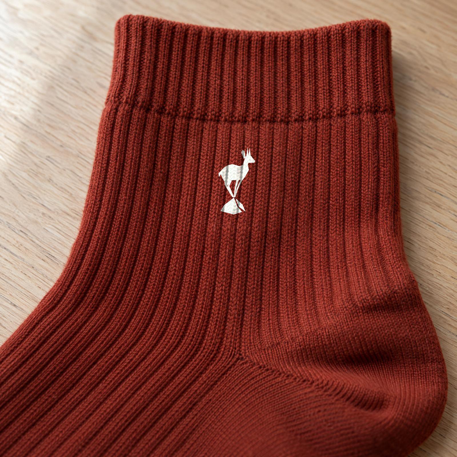 Sock pack (3 pairs)